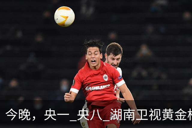今晚，央一 央八 湖南卫视黄金档排播4部好剧！阵容不错，追哪部？